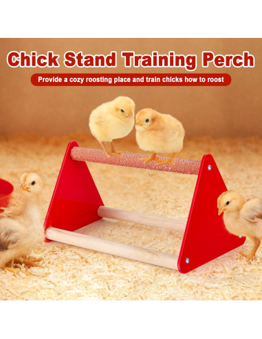 Kit de Cría para Pollitos POMINEL - Comedero, Bebedero y Perchero