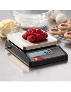 Báscula Digital Taylor TE32FT 0.91 kg Acero Inoxidable 2