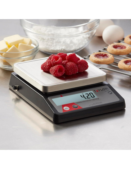 Báscula Digital Taylor TE32FT 0.91 kg Acero Inoxidable