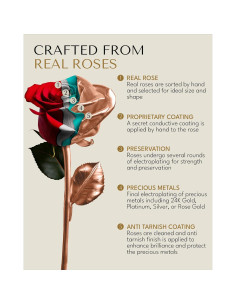 Rosa Eterna Rosa Real en Oro Rosa - Jarrón Corazón Acrílico 2