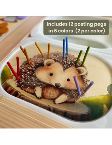 Insertos de Mesa Sensorial Flisat Nordic Cubs - 12 Palos y Monedas