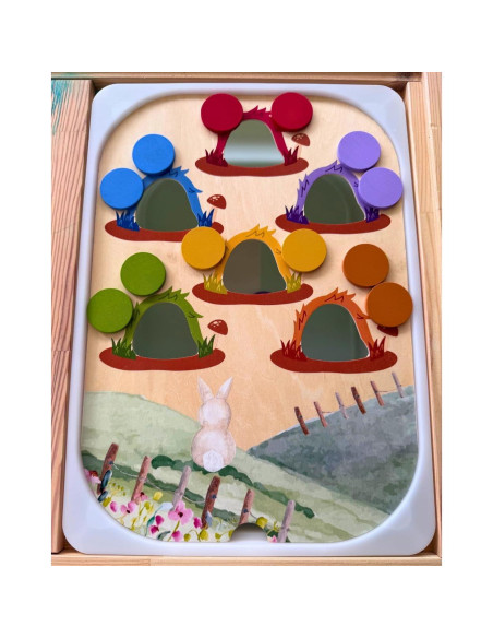 Insertos de Mesa Sensorial Flisat Nordic Cubs - 12 Palos y Monedas