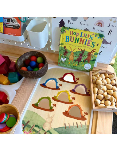 Insertos de Mesa Sensorial Flisat Nordic Cubs - 12 Palos y Monedas