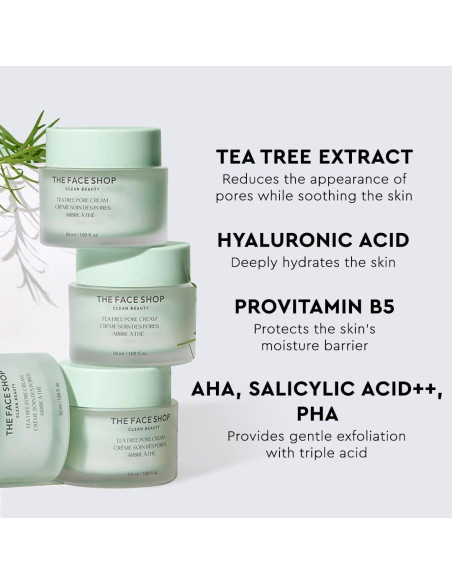Crema Hidratante de Poros The Face Shop - Árbol de Té - AHA BHA PHA