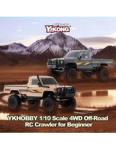 Coche RC 1/10 BEEZRC YKHOBBY YK41011 4WD Gris RTR 2
