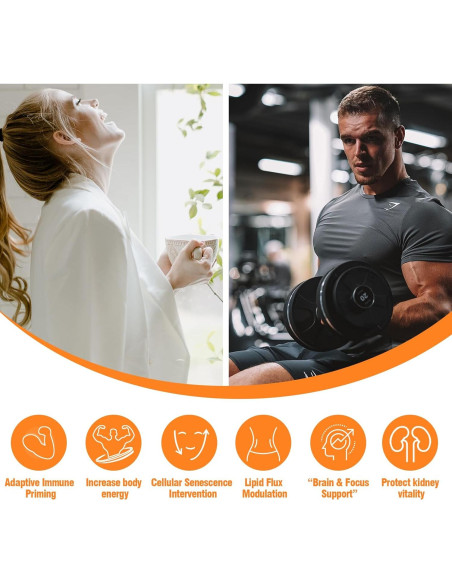 Té de Ginseng Orgánico SAIPIN - 10 Sobres Instantáneos 100% Puro