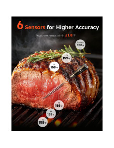 Termómetro Digital Inalámbrico AYMDKI FM2205 con App, 2 Sondas, IP67 2