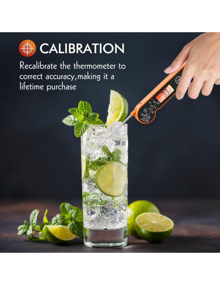 Termómetro Digital de Carne CaloriMastery DT-90 IP65