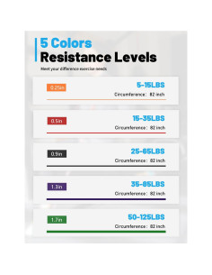 Set de Bandas de Resistencia WSAKOUE 5 Niveles 2.3-56.7 kg 2