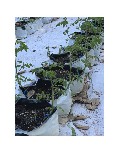 Bolsas de Cultivo HORTIPOTS Negras y Blancas 2 Galones 50 Pzas