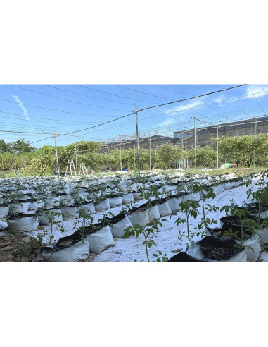Bolsas de Cultivo HORTIPOTS Negras y Blancas 2 Galones 50 Pzas