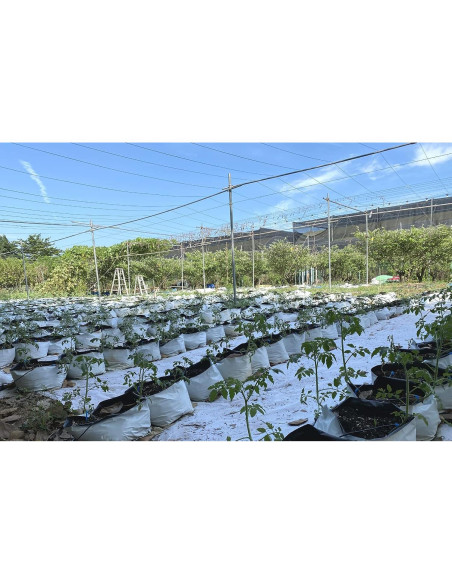 Bolsas de Cultivo HORTIPOTS Negras y Blancas 2 Galones 50 Pzas