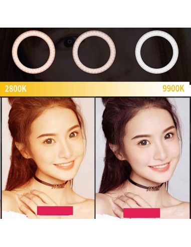 Lámpara de Anillo LED QS-480SII 45.72 cm 96W Bi-color 2800-9900K