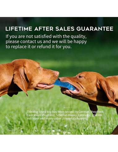 Juguete de Masticar Congelable para Cachorros SPOFLY Azul