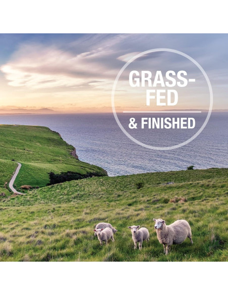 K9 Natural Comida Deshidratada para Perros Pollo 99.22g