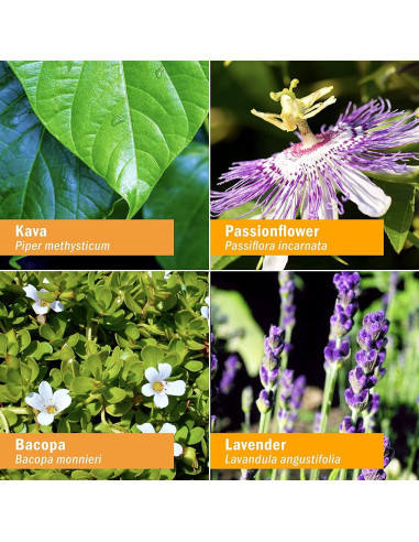 Calmante de Ansiedad Herb Pharm con Kava y Lavanda - 28.35g