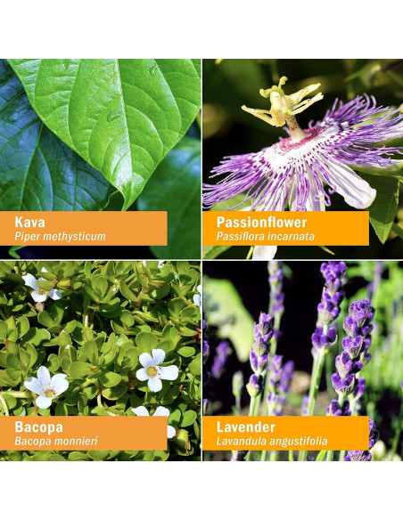 Calmante de Ansiedad Herb Pharm con Kava y Lavanda - 28.35g