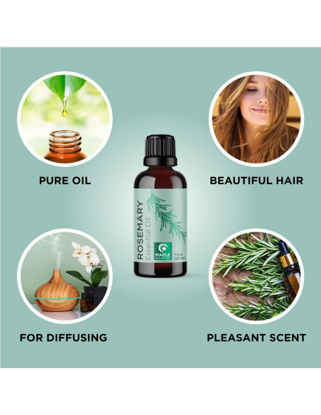 Juego de Aceite Esencial de Romero y Jojoba Maple Holistics