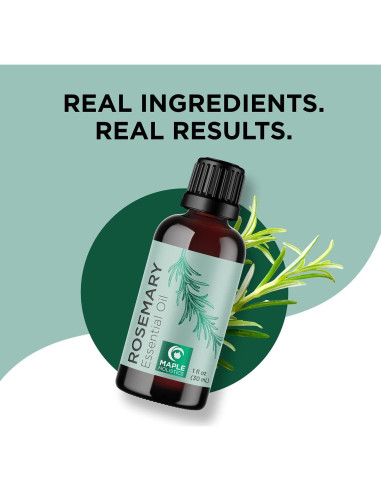 Juego de Aceite Esencial de Romero y Jojoba Maple Holistics