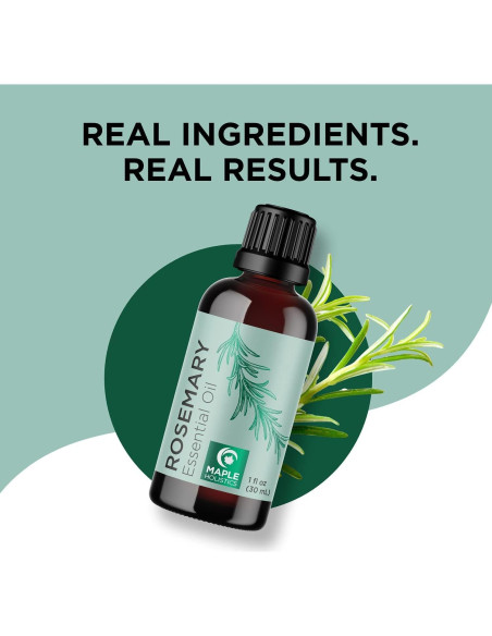 Juego de Aceite Esencial de Romero y Jojoba Maple Holistics