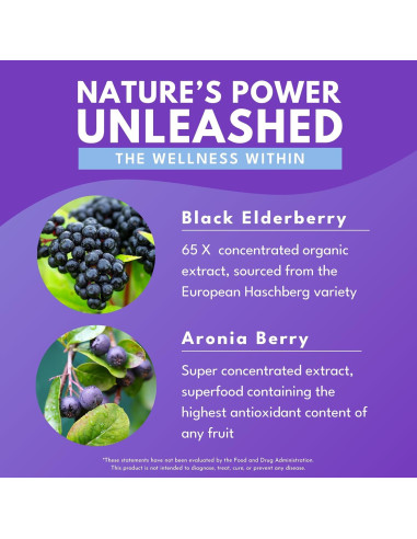 Bold Botanica Elderberry Plus - Extracto de Saúco Negro 30 Cápsulas Veganas con Zinc y Vitamina C