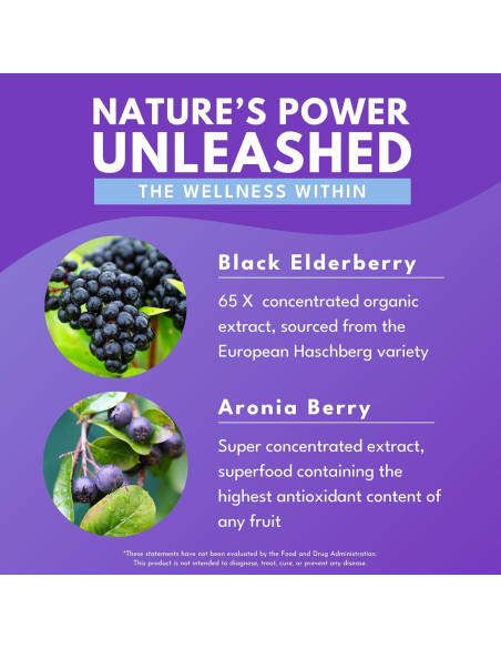Bold Botanica Elderberry Plus - Extracto de Saúco Negro 30 Cápsulas Veganas con Zinc y Vitamina C