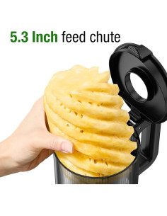 Exprimidor de Prensa Fría TUUMIIST TM-580SJ 300W Negro 1.7kg 2