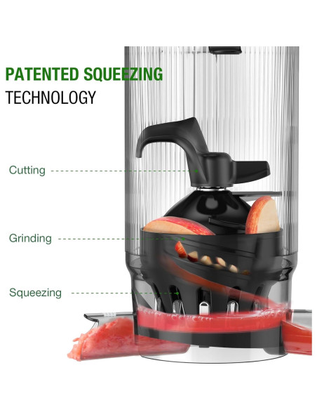 Exprimidor de Prensa Fría TUUMIIST TM-580SJ 300W Negro 1.7kg