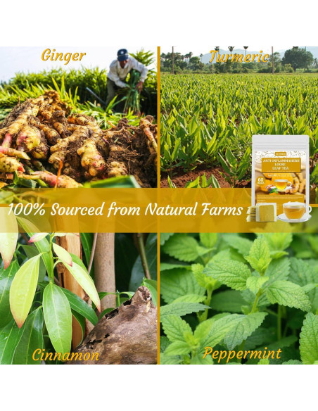 60 Bolsitas de Té Anti-Inflammaherb YILINSHA 100% Natural 60 Bolsitas de Té Anti-Inflammaherb YILINSHA 100% Natural