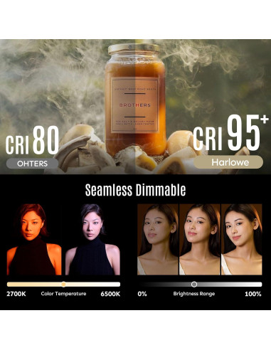 Harlowe Sol 40W Panel LED Bi-Color 24cm con Control Remoto