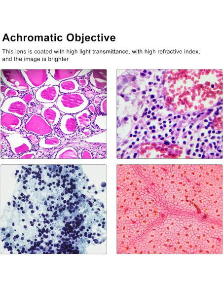 Ocular Electrónico Hilitand 960p para Microscopio Digital