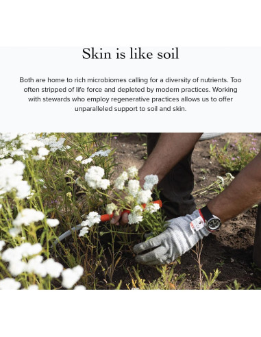 Manteca de Karité Orgánica evanhealy 42.5g Pachulí y Vainilla