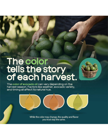 Aceite de Aguacate AVO No OGM 1.89 L Sin Conservantes