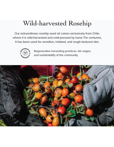 Suero Facial Calmante Rosa Mosqueta Evanhealy 13.61g