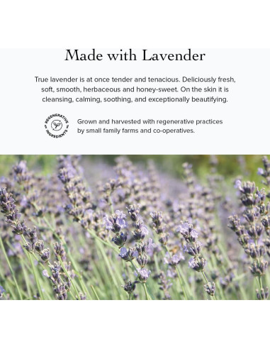 Suero Facial Calmante Rosa Mosqueta Evanhealy 13.61g