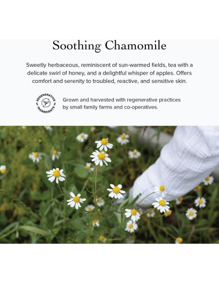 Suero Facial Calmante Rosa Mosqueta Evanhealy 13.61g