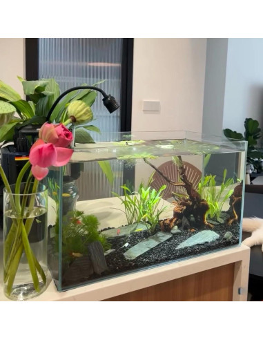 Piedras para Pintar CYLHCM 100PCS 1.5-2.5cm Gris