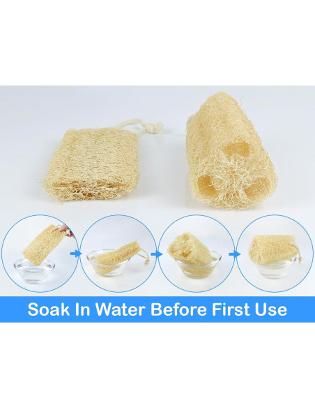 Esponja de Lufa Natural Orgánica HillSpring - Set de 4