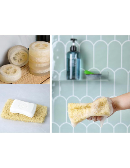 Esponja de Lufa Natural Orgánica HillSpring - Set de 4