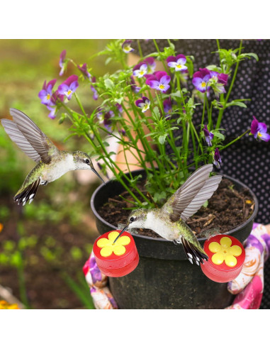 Paquete de 4 alimentadores de colibrí PiiSheou rojos
