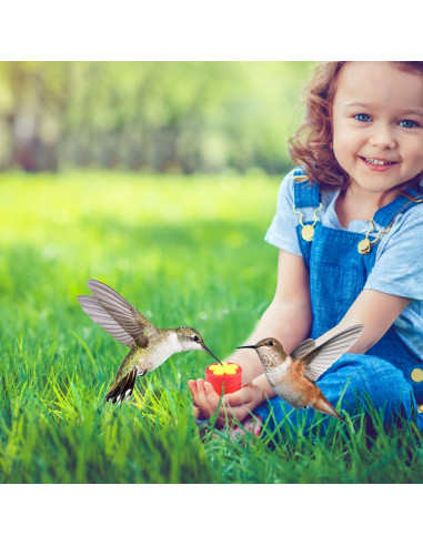 Paquete de 4 alimentadores de colibrí PiiSheou rojos
