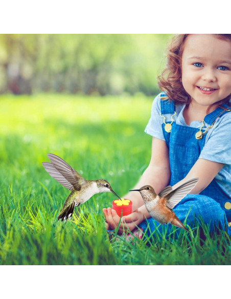 Paquete de 4 alimentadores de colibrí PiiSheou rojos