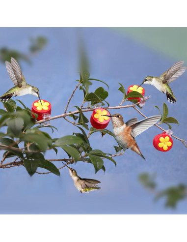 Paquete de 4 alimentadores de colibrí PiiSheou rojos