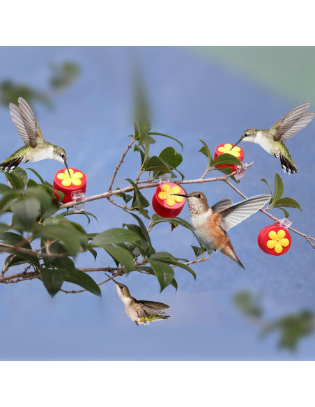 Paquete de 4 alimentadores de colibrí PiiSheou rojos