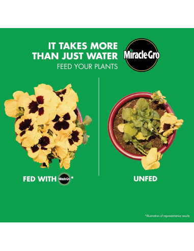 Alimento para Plantas Miracle-Gro 24 Paquetes Solubles