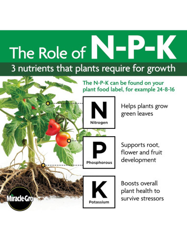 Alimento para Plantas Miracle-Gro 24 Paquetes Solubles