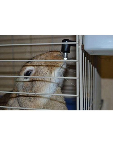 Bebedero Automático RentACoop 1L para Mascotas Pequeñas