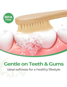 Cepillos de Dientes de Bambú GENKENT Paquete 12 Cerdas Suaves 2