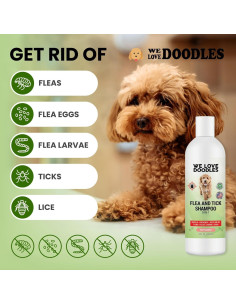 Champú Antipulgas para Perros Amamos los Doodles 236.6 ml 2