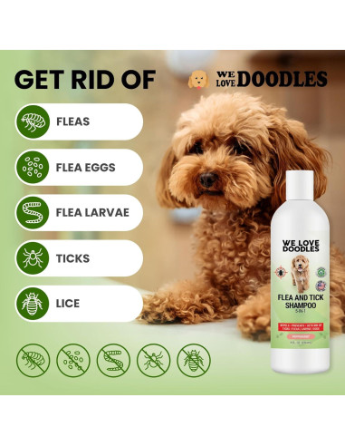 Champú Antipulgas para Perros Amamos los Doodles 236.6 ml